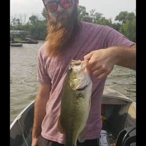 Meet your Posher, Trevor